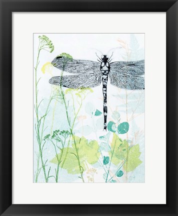 Framed Dragonfly And The Healing Plant Print