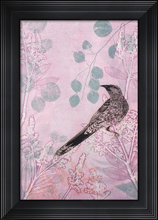 Framed Dusk Wattlebird in Pink Print