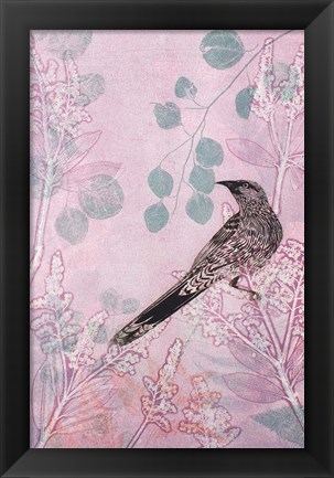 Framed Dusk Wattlebird in Pink Print