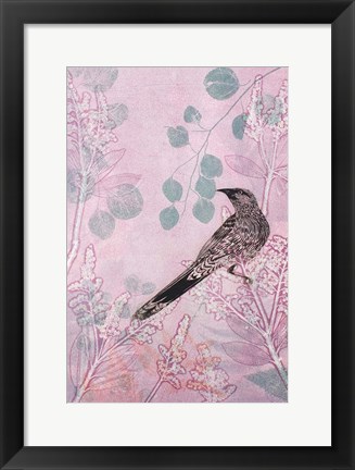 Framed Dusk Wattlebird in Pink Print