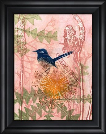 Framed Little Blue Wren Print