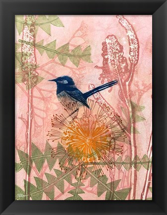 Framed Little Blue Wren Print