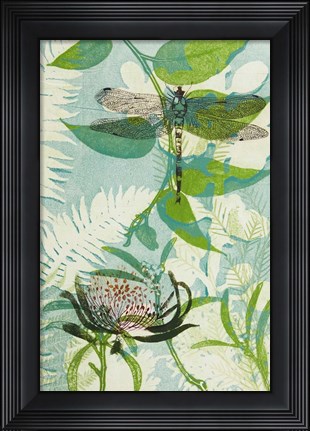Framed Elusive Dragonfly and Waratah Print