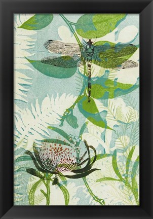 Framed Elusive Dragonfly and Waratah Print