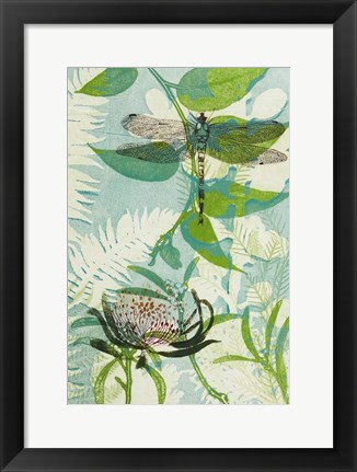 Framed Elusive Dragonfly and Waratah Print