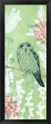 Framed Tranquil Tawny Frog Mouth Print