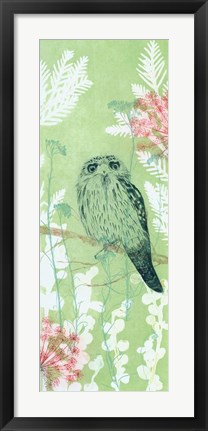 Framed Tranquil Tawny Frog Mouth Print