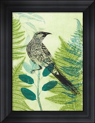 Framed Wattlebird Hiding in the Fernery Print