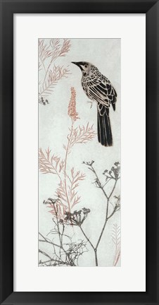 Framed Wattlebird Hovering In My Garden Print