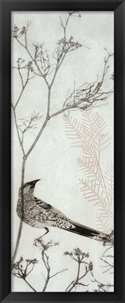 Framed Wattlebird Resting on a Branch Print