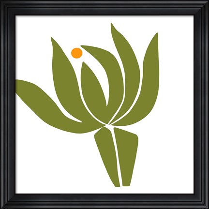 Framed Protea Print