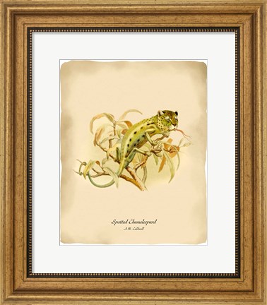 Framed Chameleopard Print