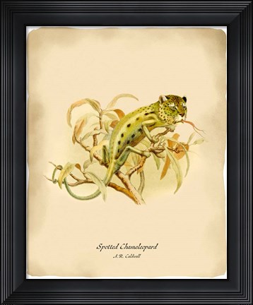 Framed Chameleopard Print