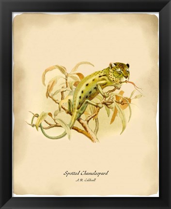 Framed Chameleopard Print