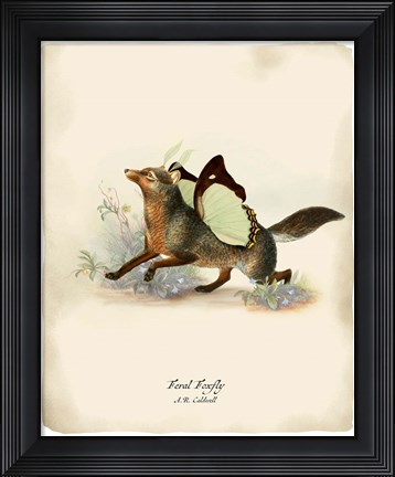 Framed Foxfly Print