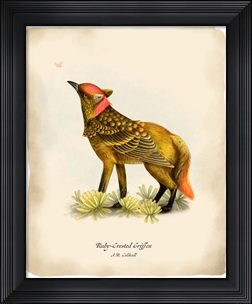 Framed Griffox Print