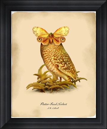 Framed Hoohoot Print