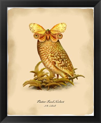 Framed Hoohoot Print