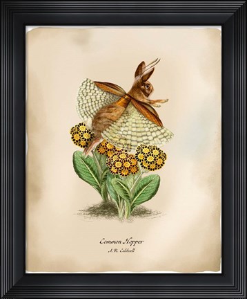 Framed Hoppers Print
