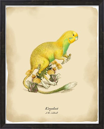 Framed Kangakeet Print