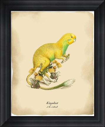 Framed Kangakeet Print