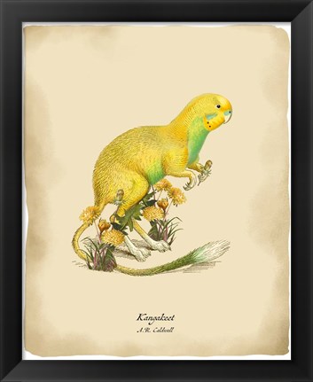 Framed Kangakeet Print