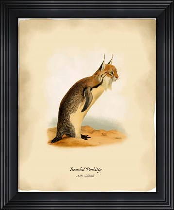 Framed Pen-Kitty Print