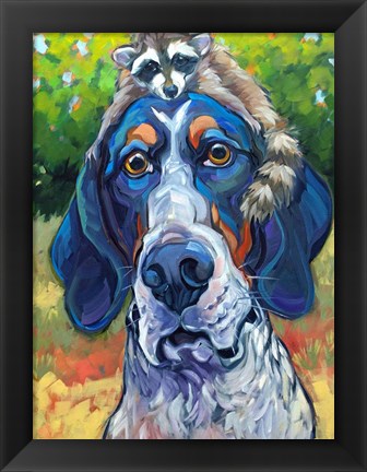 Framed Coonhound Print