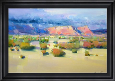Framed Canyon View II Print