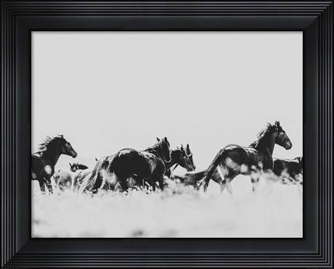 Framed Wild Horses of the Great Basin Print