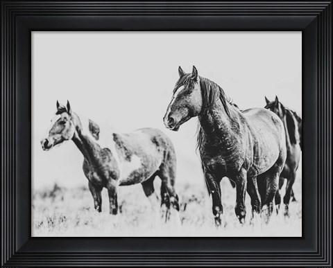 Framed Wild Horses of the Great Basin 4 Print