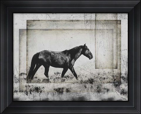 Framed Wild Horses of the Great Basin 5 Print