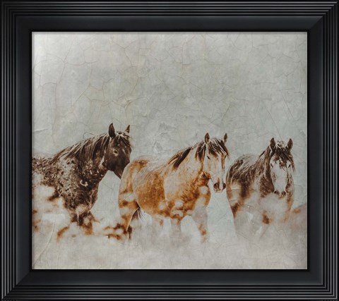 Framed Wild Horses of the Great Basin Lomography 4 Print