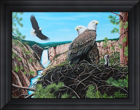 Framed Gathering of Eagles at Yellowstone Falls Print