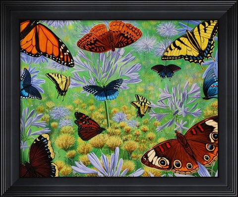Framed Butterfly Bonanza Print