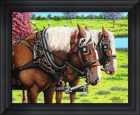 Framed Clydesdales in the Meadow Print