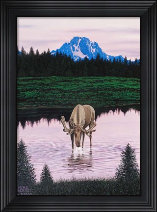 Framed Moose near Mt. Moran Print