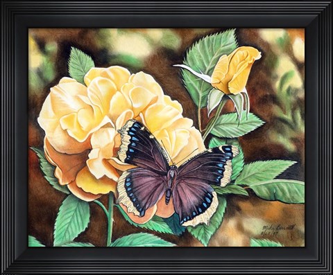 Framed Mourning Cloak Print