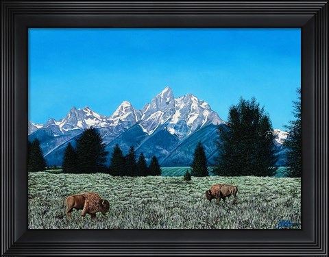 Framed Teton Splendor #1 Print