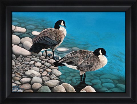 Framed Two Canadian Geese Print