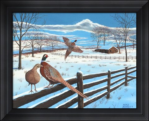 Framed Wintering Pheasants Print
