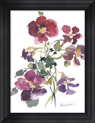 Framed Flower Series 12 Print