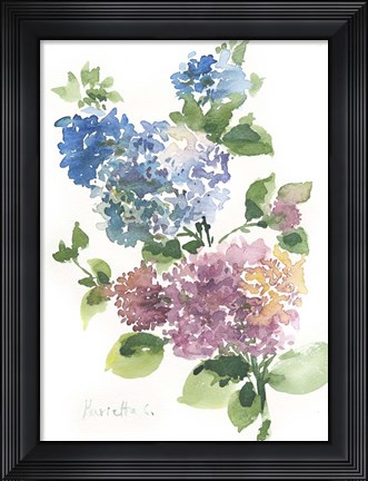 Framed Flower Series 14 Print