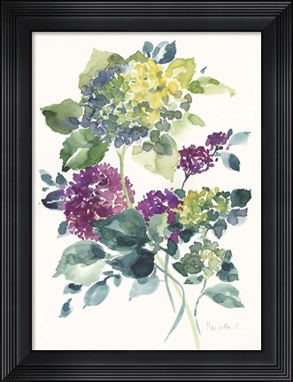 Framed Flower Series 23 Print