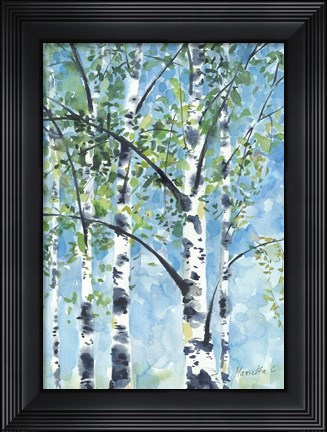 Framed Aspen Tree 2 Print