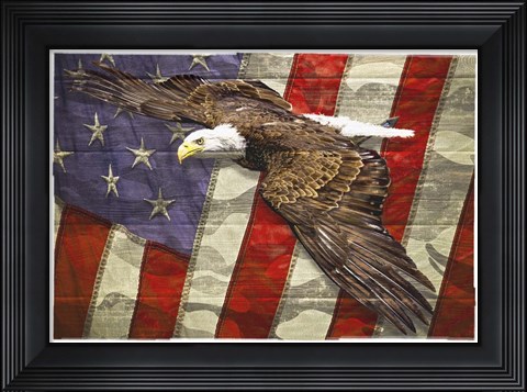 Framed Eagle 2 Print