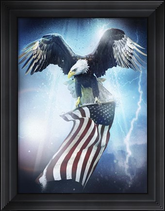 Framed Eagle 3 Print