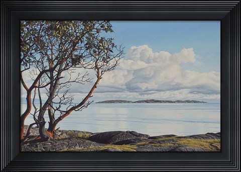 Framed Early Spring Arbutus Print