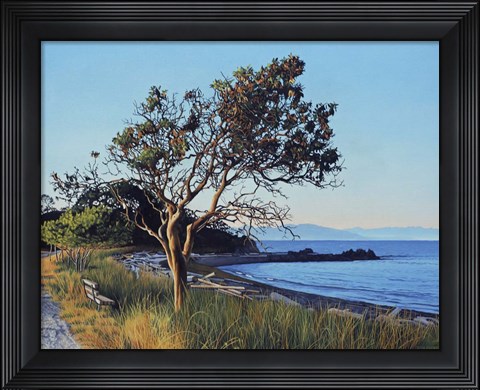 Framed Evening Arbutus Print