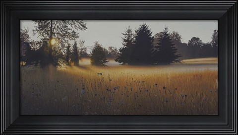 Framed Forest Morning Mist Print